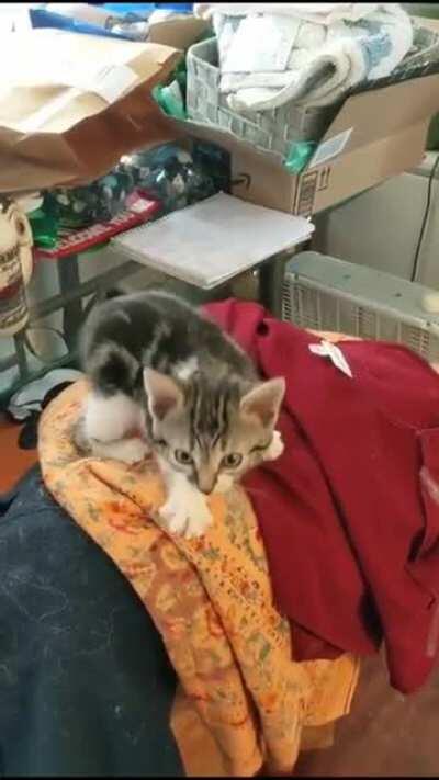 ‎‎‎‎‎‎‎‎‎‎‎‎‎‎‎‎‎‎‎‎‎‎‎‎‎‎‎‎‎‎‎‎‎‎‎‎‎‎‎‎‎‎‎‎‎‎‎‎‎‎‎‎‎‎‎‎‎‎‎‎‎‎‎‎‎‎‎‎‎‎‎‎‎‎‎‎‎‎‎‎‎‎‎‎‎‎‎‎‎‎‎‎‎‎‎‎‎‎‎‎‎‎‎‎‎‎‎‎‎‎‎‎‎‎‎‎‎pepepains ai