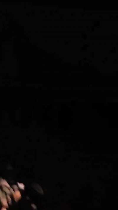 Is this a dream or a nightmare?