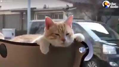 I guess this is a pocket, right?