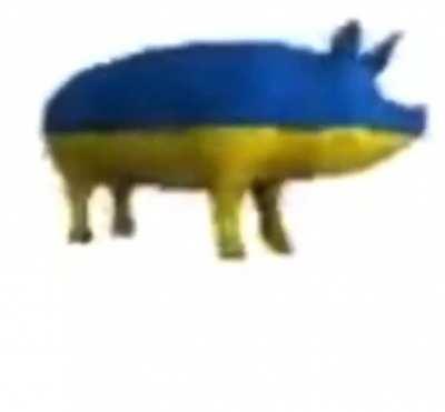 7 tiktok dances to help save ukraine!