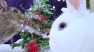 Smol Criminals ruin Christmas!