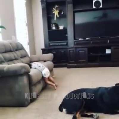 um video triste da guerra dos pudins