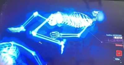 He’s having the best dream of his life