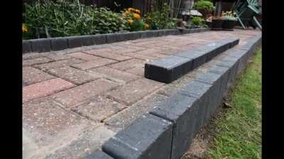 There's a snake in my garden...