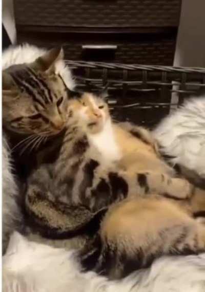 But we love it here!