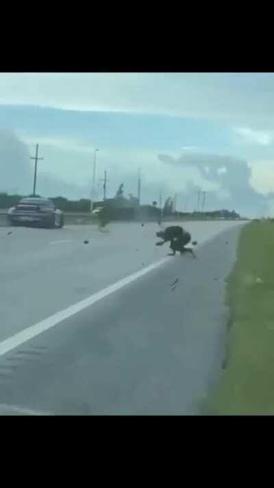 Lucky, he is still alive