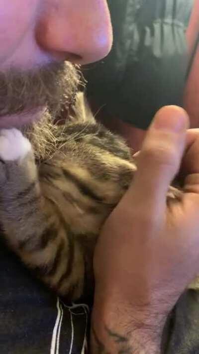 Our new kitten seems to be getting along with my boyfriend. ♥️