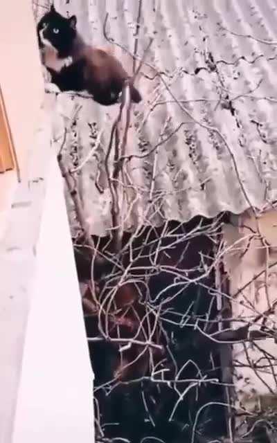 Nothing is true, everything is permitted