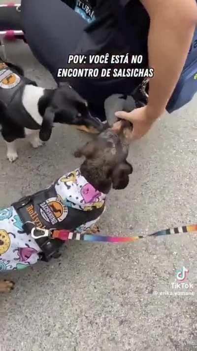 Meu Deus um evento de salsichas