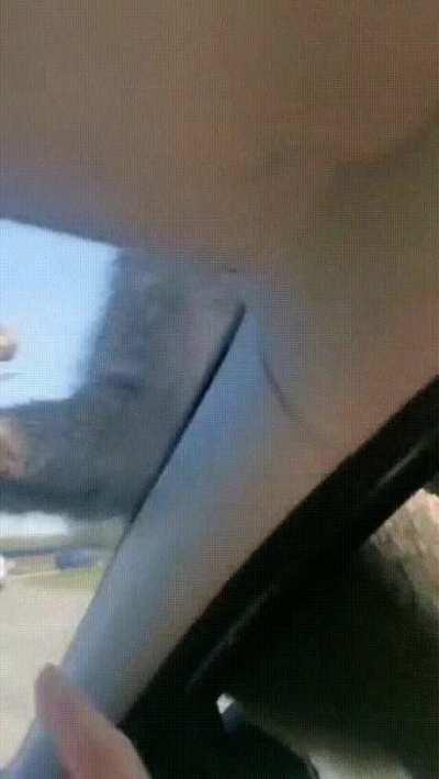 Self Spanking Monkey .