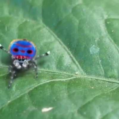 Oh my God, did you create this?