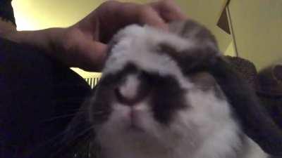 yoshimi's nightly head massage