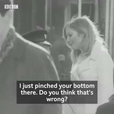 Average RS bird innit