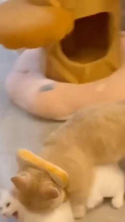 Honey, I'm home! tackle hug! ok gotta go to the bathroom.