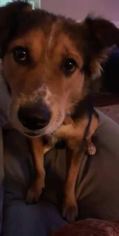 It’s like talking to a rebellious teenager