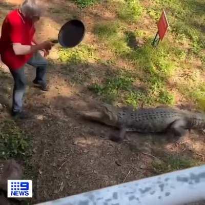 Australian man hits croc with pan