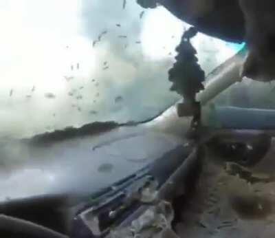 1. Pour gasoline on car 2. Light the match