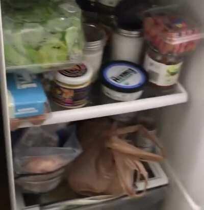 Sauces_in my fridge!