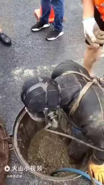 So You Think You Have a Shitty Job?