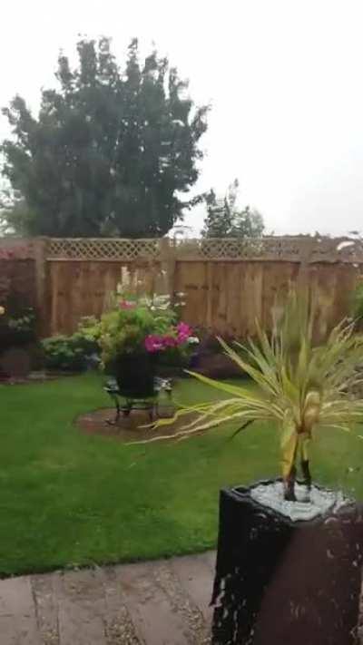 Trapped in the garden lodge, don't care.