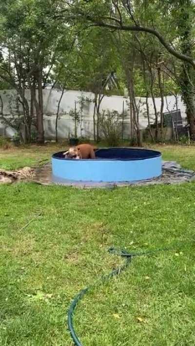 Trying to watch dolly in the pool but there seems to be a strange blur on my camera