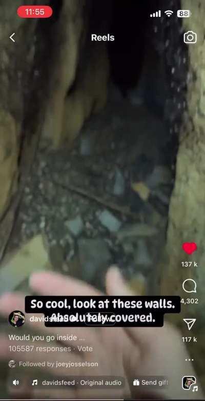 Eddie is going to hate this