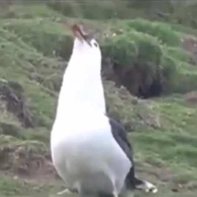 Thanks, I hate the “smile on his face”