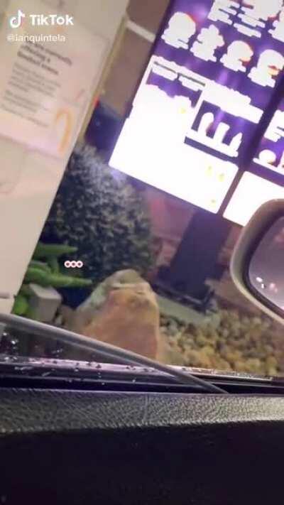 Hear people die inside