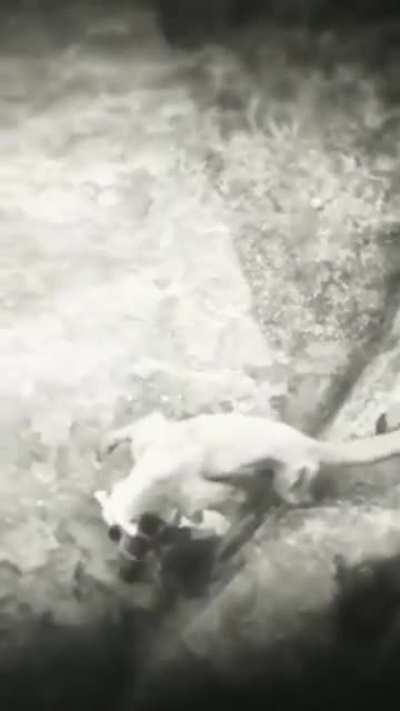 Instant karma after antagonizing