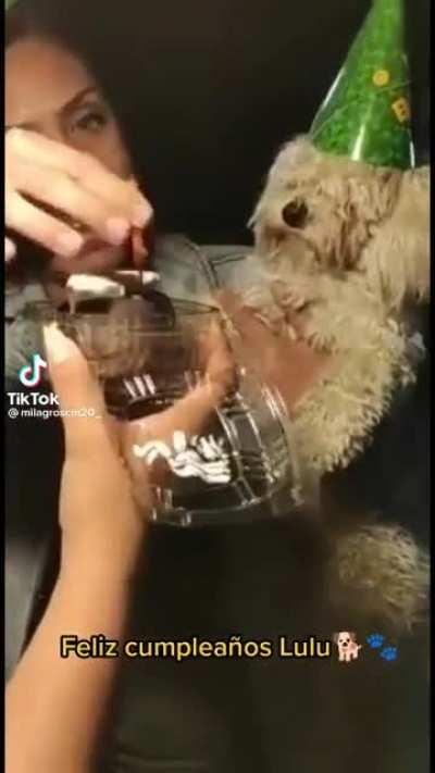 Welcome a la Familia lulu!