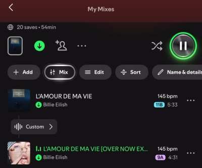 L’AMOUR DE MA VIE (EXTENDED VERSION)