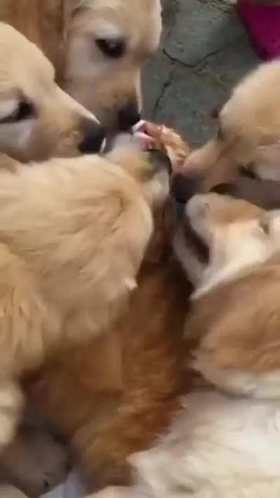 is he in a painfull or  a great situation?