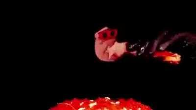 Macaco comendo tatuzinho hmmmm