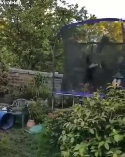 This Water Gives Me All The Energy