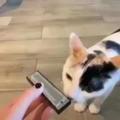 posting to find the song