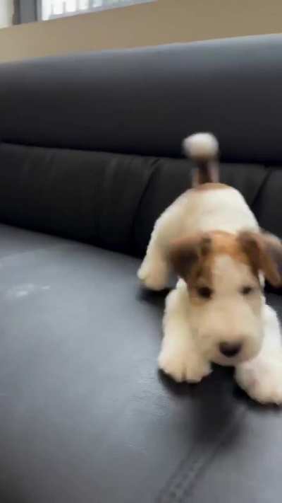 That face says he absolutely believes he's flying.