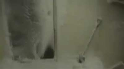 Condition One weather occurs when either visibility is below 30m or wind speed is above 63mph. Here’s an extreme case in Antarctica