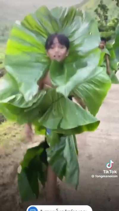 Amazing presentation and costumes from Thai kids. 