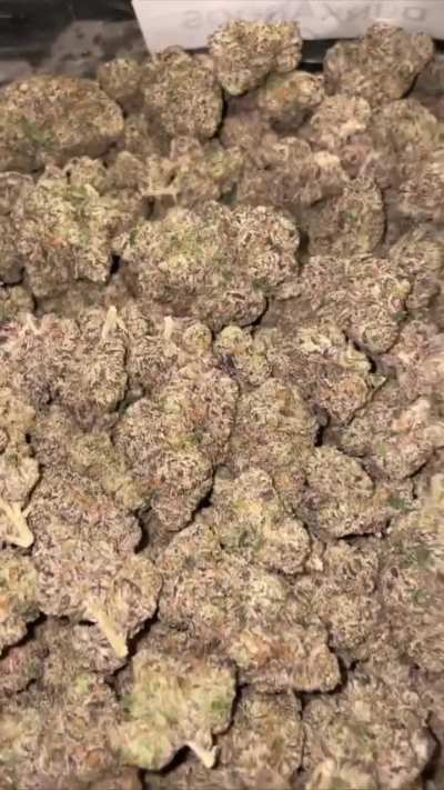 Pink Starburst🍬🔥