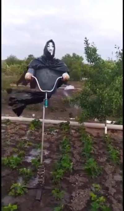 Modern-day scarecrow