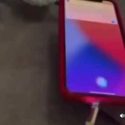 Siri hasn't had action in a long time.