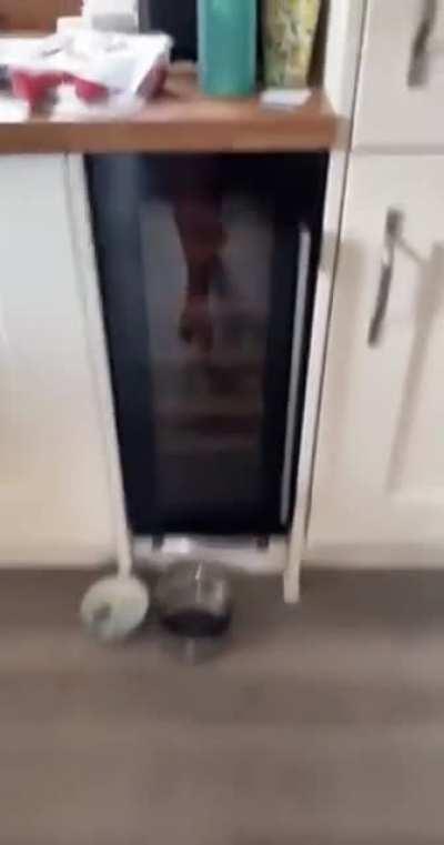 Blursed Bottle Opener.