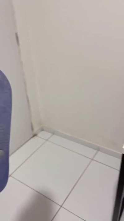 Bro sacrificed everything for his setup