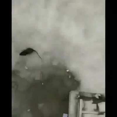 Ni willyrex se hace esas kills