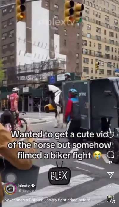 Amazon delivery bike thing(?) almost hits a pig riding a horse. Argument follows..