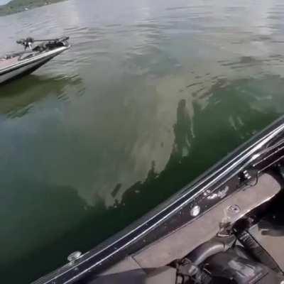 Boat driver who is on his phone numbs into another boat while driving