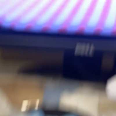 Maduro (honey banana x black mamba)