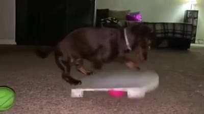 He's going for a new highscore