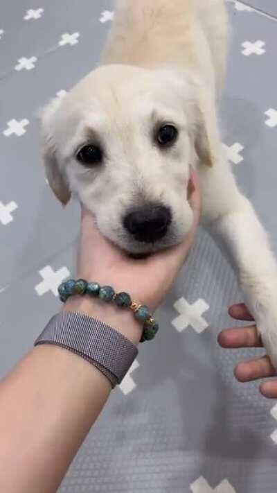 The goodest girl. Her eyes 😍