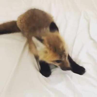 Messing up the sheets